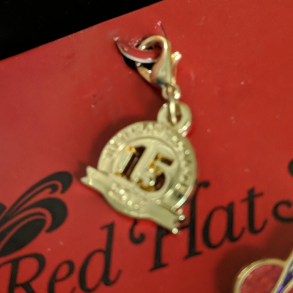 RED HAT SOCIETY 2013 15TH ANNIVERSARY PIN - Picture 3 of 5